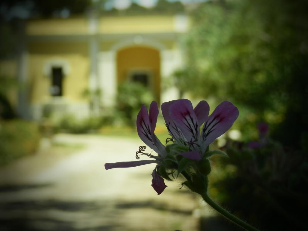 Dimora Relais Excelsa Hotel Галиполи Екстериор снимка